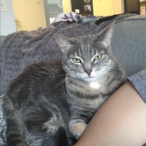 Meet your Posher, Kristina